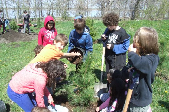 Un groupe de 350 écoliers plantent une haie d’honneur de 350 arbres