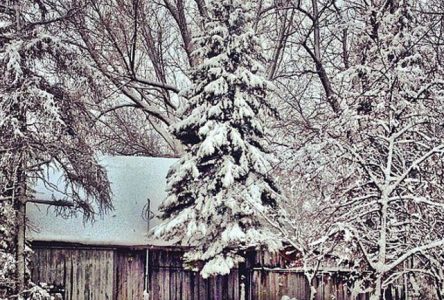 Concours photo Facebook – Mon Boucherville en hiver