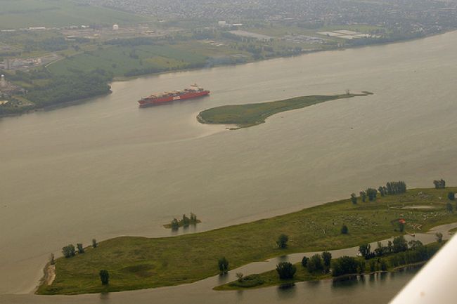 Investissement conjoint de 70 M$ pour la conservation du fleuve Saint-Laurent