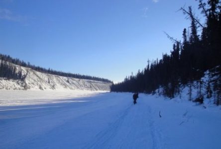 Un coureur de la région effectuera une course de 515 km au Yukon