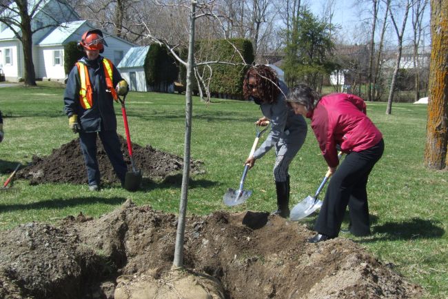 Boucherville plante cinq arbres pour souligner le Jour de la Terre