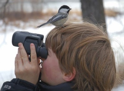 La Ville de Boucherville tient une activité d’initiation à l’ornithologie