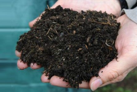 Semaine horticole de Varennes du 29 mai au 2 juin : compost et paillis offerts gratuitement
