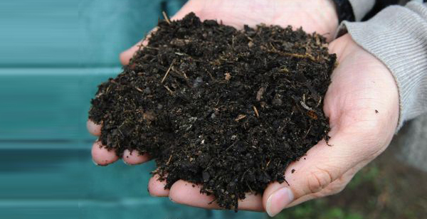 Semaine horticole de Varennes du 29 mai au 2 juin : compost et paillis offerts gratuitement