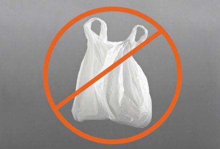 Longueuil interdira l’utilisation des sacs en plastique minces l’an prochain