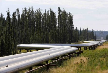 Abandon du projet de pipeline Énergie Est :  «  C’est une grande victoire pour le Québec ! », estime Xavier Barsalou-Duval