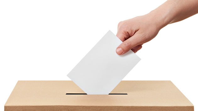 Élections municipales: le taux de vote par anticipation est très élevé