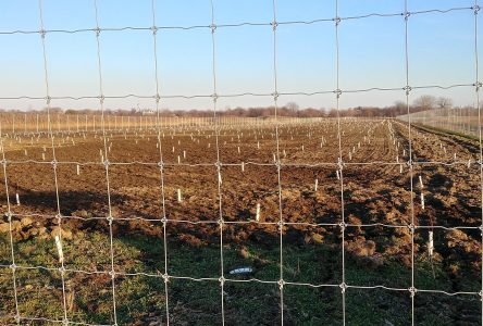 La restauration des terres agricoles au parc des Îles-de-Boucherville expliquée à La semaine verte en janvier