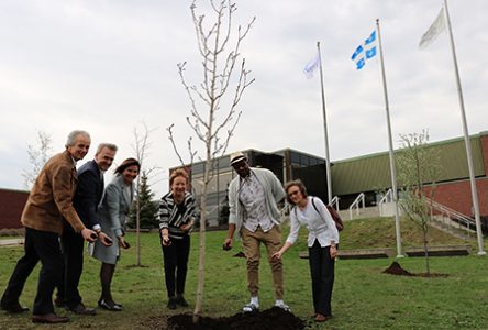 Des arbres plantés en l’honneur de bâtisseurs au Cégep É.-Montpetit et à l’ÉNA