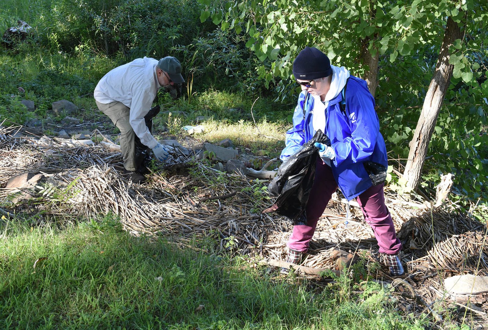 Des bénévoles prennent soin des berges du fleuve à Boucherville