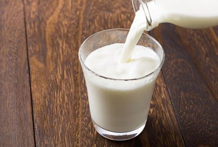 La ferme Brown Heaven de Verchères s’illustre pour la qualité de son lait