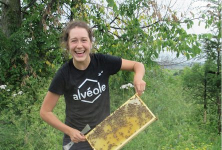 Une séance d’information sur l’apiculture pour souligner le Jour de la Terre