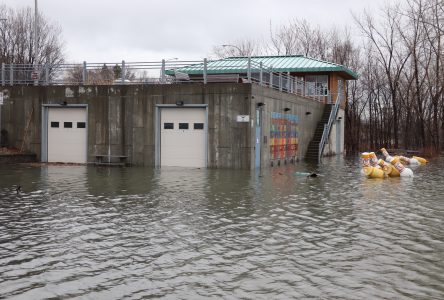 Le Club d’aviron de Boucherville : inondé, mais pas de dégât!
