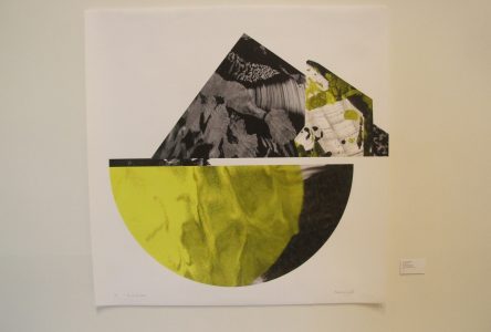 Natacha Sangalli propose une série de huit tableaux sous le thème Volcans