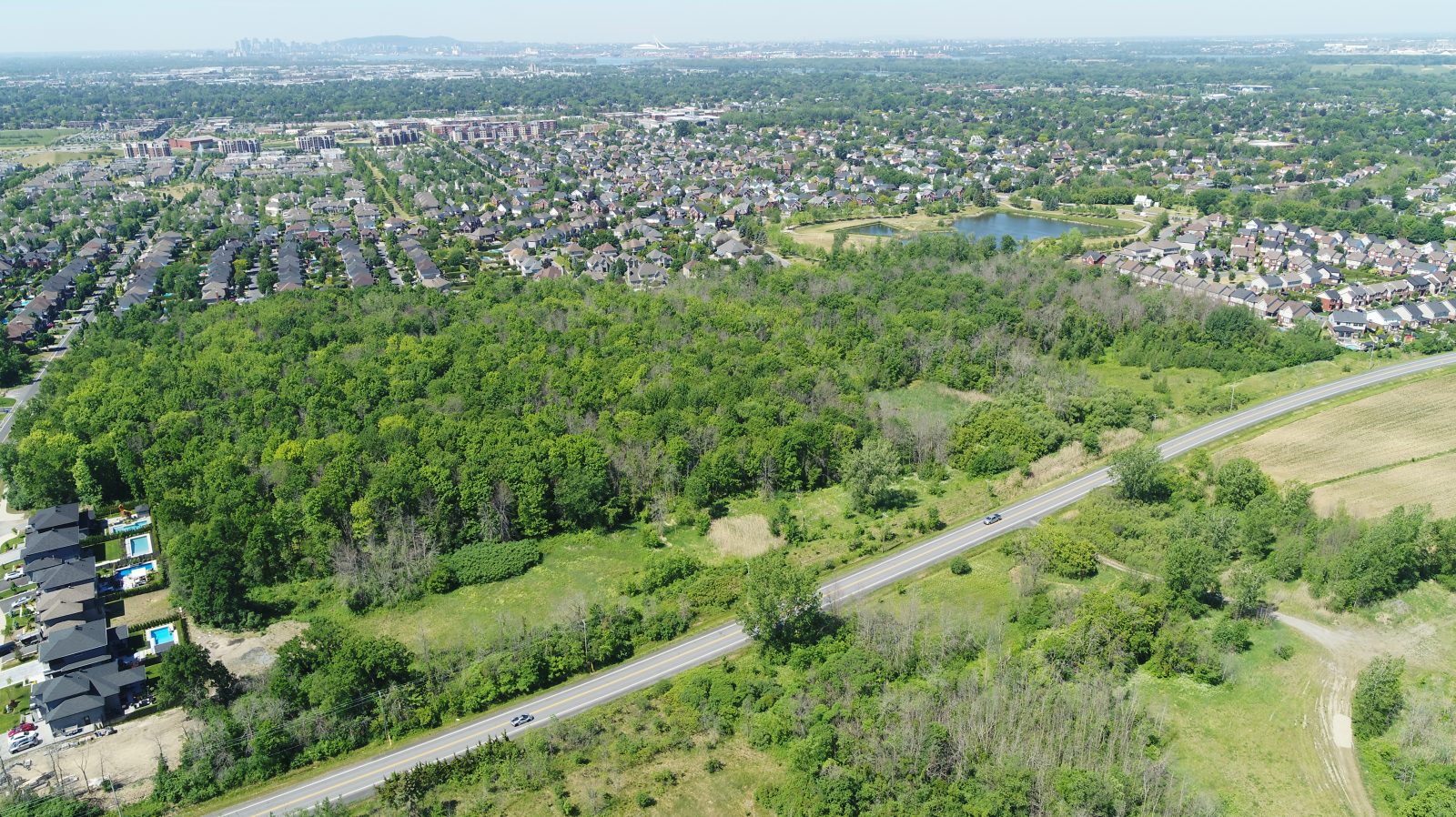 Protection du parc du Boisé-du-Pays-Brûlé : Boucherville fait l’acquisition de 2,29 hectares supplémentaires