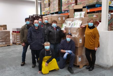 Un million de masques remis aux banques alimentaires du Québec et à la SPCA de Montréal