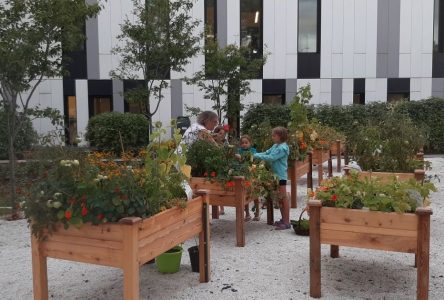 Varennes remporte le prix Reconnaissance en agriculture urbaine des Fleurons du Québec Citoyens