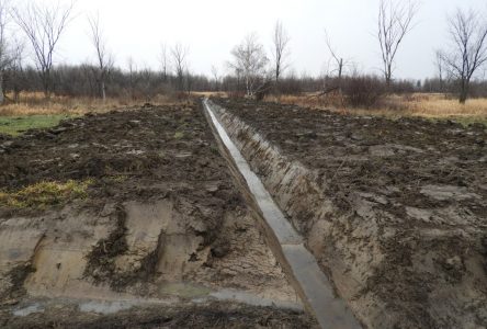 Drainage de champs boueux ou destruction de milieux humides