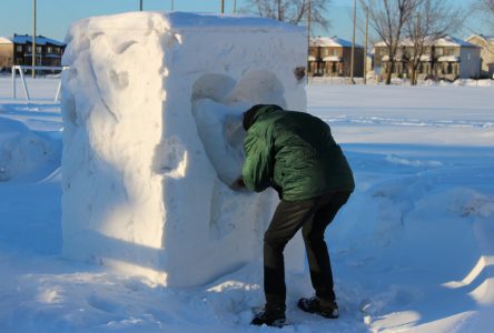 Blocs de neige à Contrecœur: sculpteurs recherchés!
