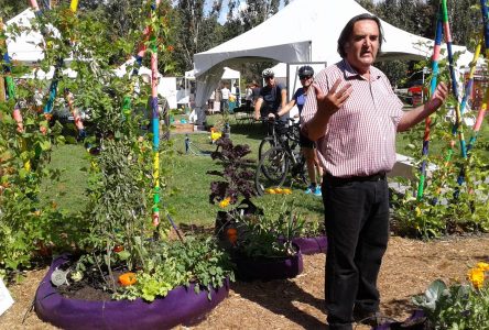 Nouveau livre : l’horticulteur bouchervillois Bertrand Dumont répond à vos questions sur le jardinage