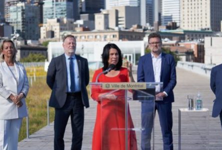 Longueuil joint sa voix aux grandes villes du Québec pour qu’Ottawa légifère sur les armes illégales