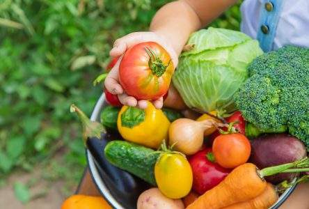 Le Collectif 21 a remis 250 kilos de fruits et de légumes au Centre d’action bénévole de Boucherville cet été