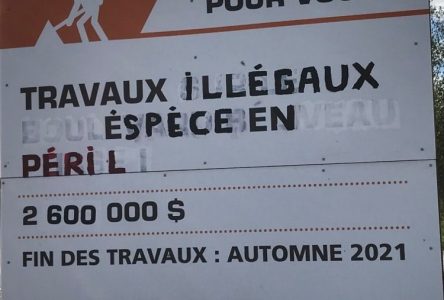 Rainette faux-grillon : la Cour supérieure ordonne l’arrêt des travaux de prolongement du boulevard Béliveau, à Longueuil