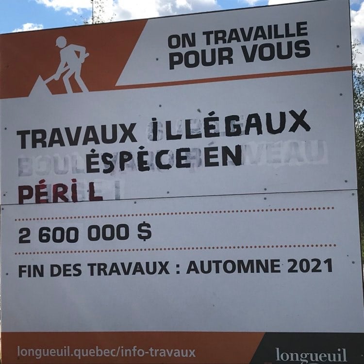 Rainette faux-grillon : la Cour supérieure ordonne l’arrêt des travaux de prolongement du boulevard Béliveau, à Longueuil