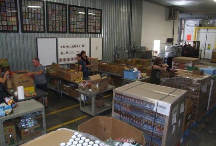 Moisson Rive-Sud en campagne pour regarnir ses réserves : l’organisme de Boucherville offre une aide alimentaire à 20 000 personnes  chaque mois