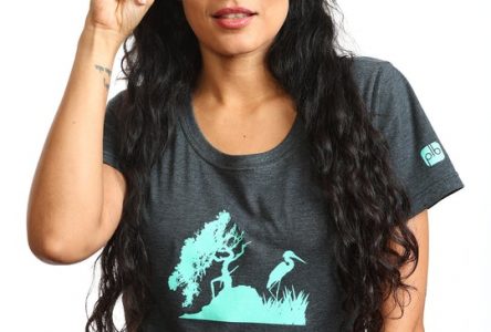 Des T-shirts inspirés de la faune et de la flore des Îles-de-Boucherville