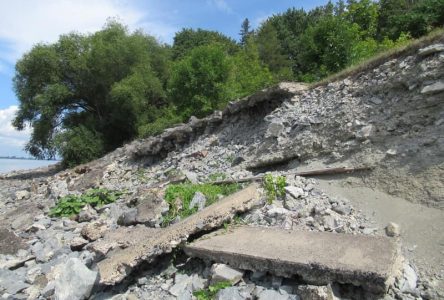 La Cour Supérieure autorise une poursuite pour la protection des berges de Varennes, Verchères et Contrecoeur
