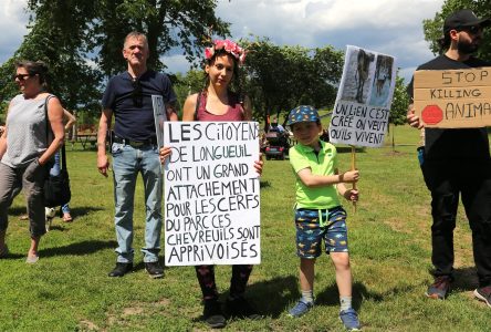 Nouvelle manifestation pour sauver les chevreuils de Longueuil