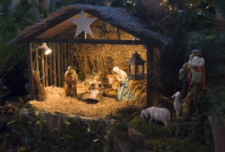 La crèche de Noël de nos églises