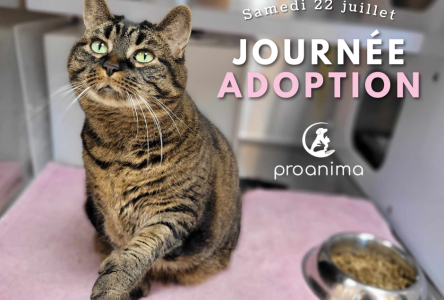 Journée adoption chez Proanima en réponse à la surcharge d’animaux