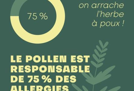 Sainte-Julie rappelle que le pollen est responsable de 75 % des allergies saisonnières