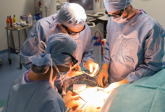 Salles d’opération au ralenti au Québec: des hôpitaux de la région s’en sortent très bien