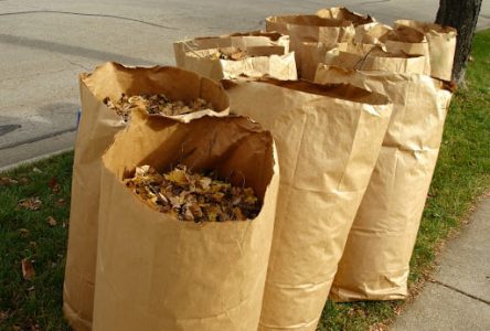 Finis les sacs de plastique pour les feuilles mortes à Longueuil