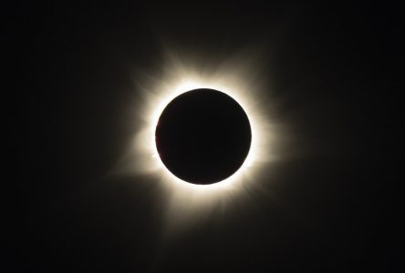 Éclipse solaire : les centres de services scolaires en mode attente