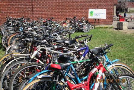 Boucherville : une collecte de vélos pour le Togo